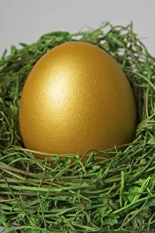 Easter Resurrection Symbolism Prints: Golden easter egg in a nest