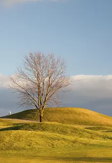 Prints of On the empty golf course in autumn Sport Prints: Autumn Golf Course Print