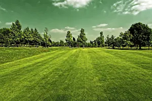 Uninhabited Sports Venue Prints: Golf field