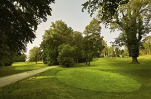 Deserted Golf Course Prints: Golf ground