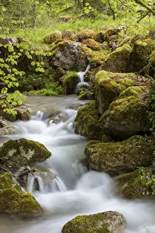 Middle Europe Rock Formations Prints: Gorge de Perrefitte, small gorge