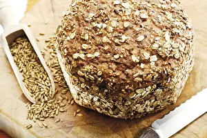 Balanced Diet Staples Food Prints: Whole grain bread