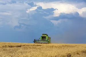 Agricultural Machine Europe Prints: Grain harvest under thunderclouds