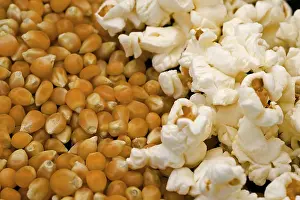 Indian Food Photography Prints: Grains of maize and popcorn