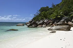 Anse Source DArgent Beach Prints: Granite rocks on the beach of Anse Source dArgent