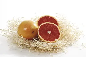Citrus Fruit Still Life Prints: Grapefruit ruby in wood shavings