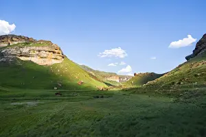 African Nature Reserve Photos Prints: Grassland with sandstone cliffs and cliffs