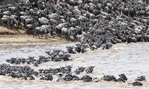 UNESCO World Heritage Site Africa Prints: The Great Migration