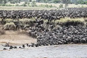 UNESCO World Heritage Site Africa Prints: The Great Migration