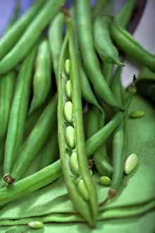 Green Beans Prints: Green beans