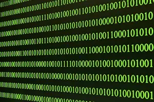 Exempt Plate Design Ideas Prints: Green binary code arranged in rows on a black background