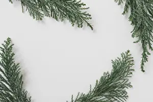 White Table Setting Prints: Green branches white table
