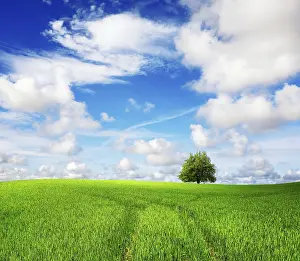 British Agricultural Landscape Prints: Green field and tree