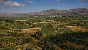 Prints of Green fields with mountains in the background under cloudy sky, Festos, Phaistos, Minoan Palace of Festos, Messara plain, UNESCO World Heritage Site, south-central Crete, Crete, Greek Islands, Greece Palace Prints: Green Fields with Mountains Print, Crete, Greece