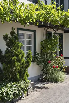European Architecture Style Prints: Green half-timbered facade
