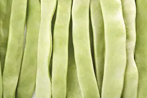 Balanced Diet Grocery Images Prints: Green pole beans