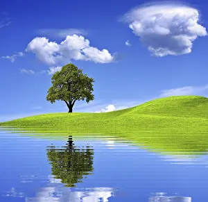 Deciduous Tree Agriculture Prints: Green tree