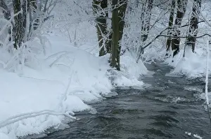 Thuringia Winter Landscape Prints: Greiz, Thuringia, Triebitzbach