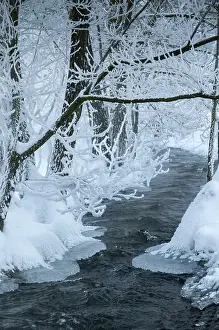 Snowy Winter Landscape Prints: Greiz, Thuringia, Triebitzbach