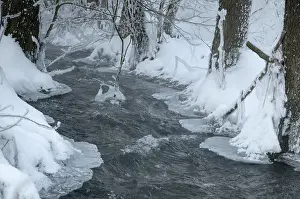 Thuringia Winter Landscape Prints: Greiz, Thuringia, Triebitzbach