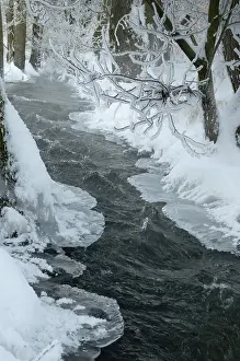 Thuringia Winter Landscape Prints: Greiz, Thuringia, Triebitzbach
