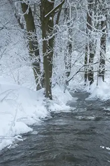 Winter Landscape Germany Prints: Greiz, Thuringia, Triebitzbach