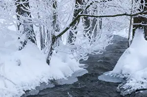 Thuringia Winter Landscape Prints: Greiz, Thuringia, Triebitzbach