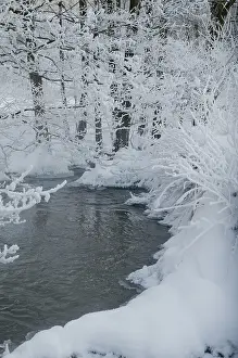 Snowy Winter Landscape Prints: Greiz, Thuringia, Triebitzbach