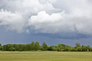 Protected Area In Eastern Germany Prints: Grey clouds float over a green meadow lined with trees