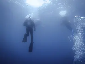 Underwater World Scene Prints: Group of divers Underwater background