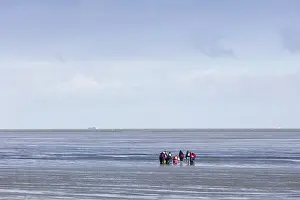 Cuxhaven Germany Prints: Group of mudflat strollers in mudflat