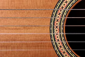 Music Instrument Details Prints: Guitar