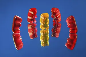 Colorful Sweets Prints: Five gummi bears