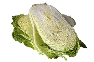 Bright White Background Prints: Half head of Beijing cabbage on white background
