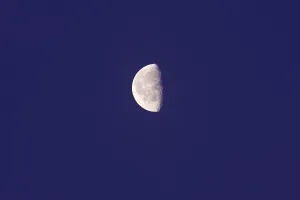 Nocturnal Night View Photo Prints: Half moon