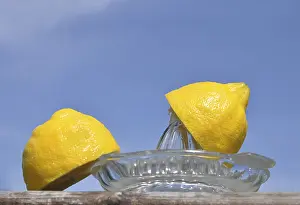 Fresh Lemons Prints: Two halfs of a lemon on a lemon squeezer