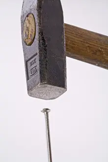Studio Shot Of A Hammer Prints: Hammer and nail