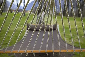 Wooded Landscape Photography Prints: Hammock in the Forest