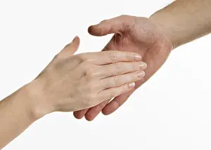 Business Teamwork Prints: Hands handshake