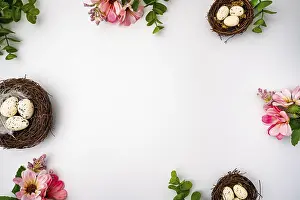 Flat Lay Photography Prints: Happy Easter background with easter eggs in nest and spring flowers