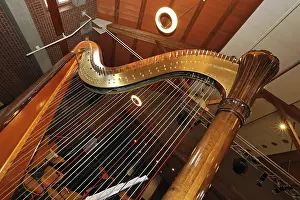 Plucked String Instrument Prints: Harp