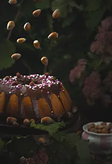 Hazelnut Cake Prints: Hazelnut cake, flying hazelnuts