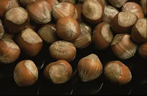 Uninhabited Dining Table Prints: Hazelnuts