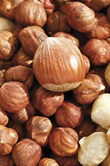 Full Format Food Photography Prints: Hazelnuts, full format