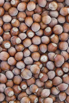 Vegan Grocery List Prints: Hazelnuts. Stack of hazelnuts. Food background