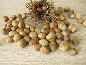 Fruit Stand Prints: Hazelnuts from the tree hazel in the nutshell and a fruit stand