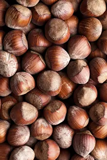 Open Air Nature Scenes Prints: Many whole hazels