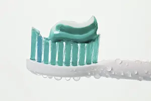 Still Life Studio Photo Prints: Head of a toothbrush with toothpaste