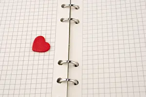 Symbolic Heart Picture Prints: Heart on a checked notebook