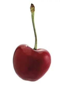 Stone Fruit Images Prints: Heart cherry